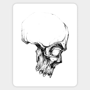 Sketch Devil Skull Tattoo Style Design Drawing Art Graphic Sticker